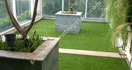 Artificial Grass
