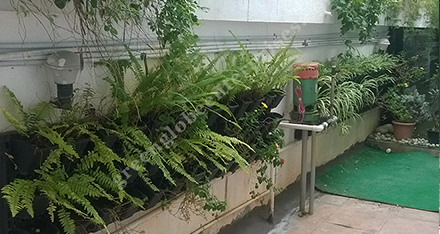 Bio wall Garden Panels