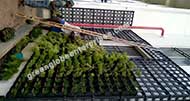 Bio wall Garden Panels