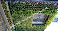 Bio wall Garden Panels