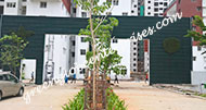 Bio wall Garden Panels