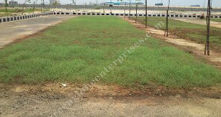 Grass Paver