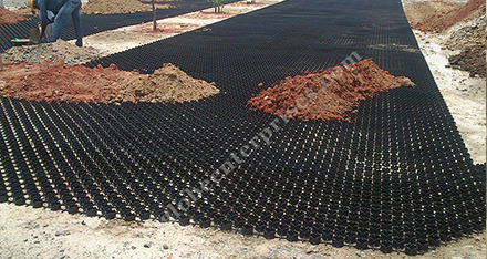 Grass Paver