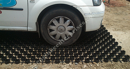 Grass Paver