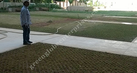 Grass Paver