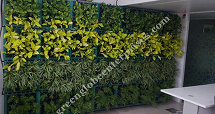 Vertical Garden Panels